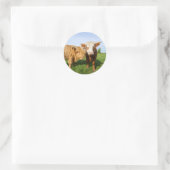 Young Highland Cows Fleece Blanket Runder Aufkleber (Tasche)