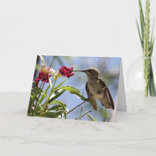 Young Hummer Greeting Card Karte (Vorderseite)