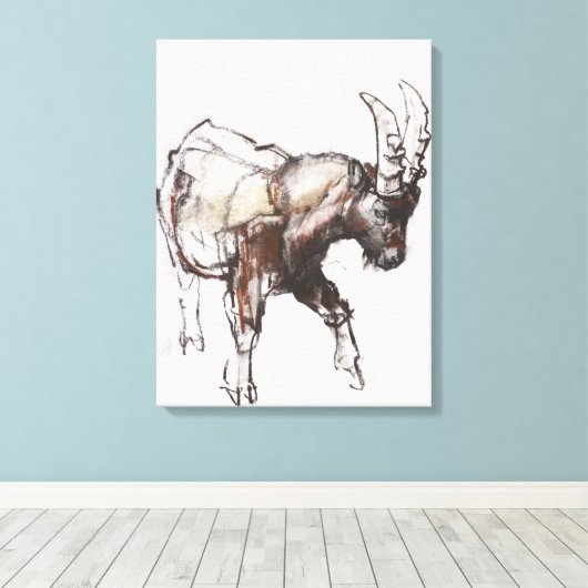 Young Ibex Gran Paradiso 2005 Leinwanddruck (Insitu (Holzboden))