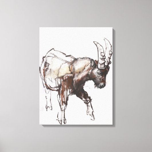 Young Ibex Gran Paradiso 2005 Leinwanddruck (Vorderseite)