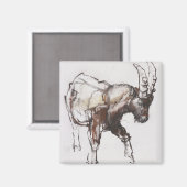 Young Ibex Gran Paradiso 2005 Magnet (Vorderseite/Rückseite)