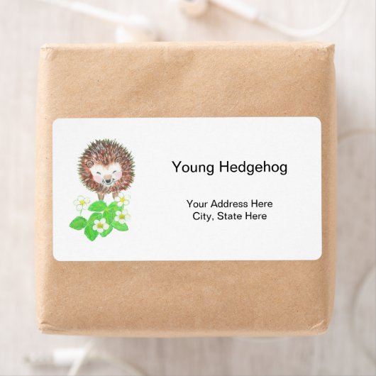 Young Igel & Wild Strawberry Blume (Insitu)