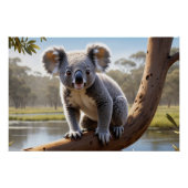 Young Koala am See Poster (Vorderseite)