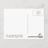 Young Koala, Geoffrey Bay Postkarte (Rückseite)