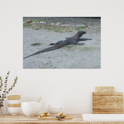 Young Komodo Dragon Poster (Küche)