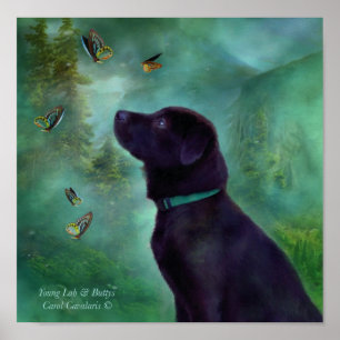 Young Labrador & Buttys Art Poster/Print Poster