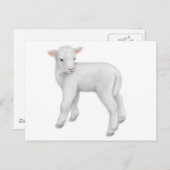 Young Lamb Postcard Postkarte (Vorne/Hinten)