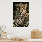 Young Leopard Cub Art Geschenke Poster (Küche)