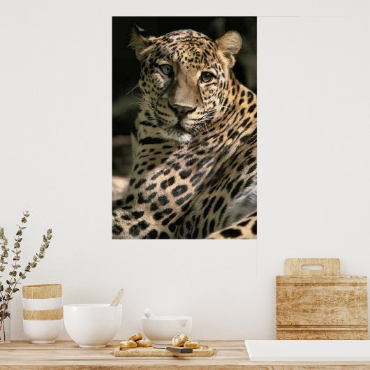 Young Leopard Cub Art Geschenke Poster (Küche)