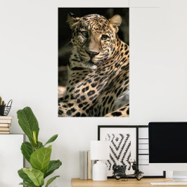 Young Leopard Cub Art Geschenke Poster