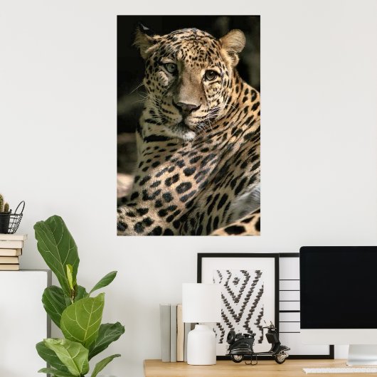 Young Leopard Cub Art Geschenke Poster (Heimbüro)