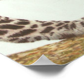 Young Leopard Painting Poster (Ecke)