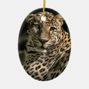 Young Leopard Weihnachtsschmuck