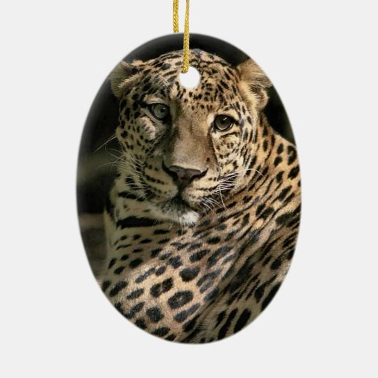 Young Leopard Weihnachtsschmuck (Hinten)