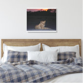 Young Lion at Sunrise Leinwanddruck (Insitu (Schlafzimmer))