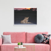 Young Lion at Sunrise Leinwanddruck (Insitu (Wohnzimmer))