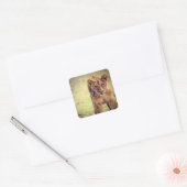 Young Lion Cub Foto Quadratischer Aufkleber (Umschlag)