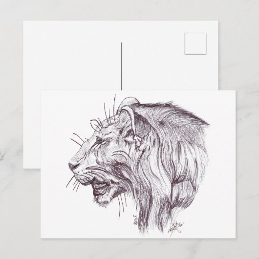 YOUNG LION POSTKARTE (Vorne/Hinten)