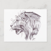 YOUNG LION POSTKARTE (Vorderseite)