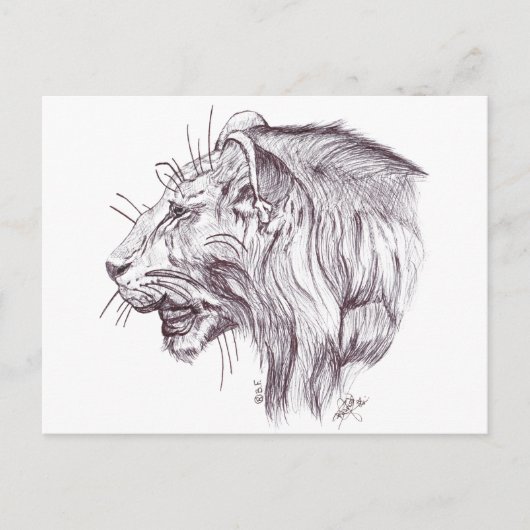 YOUNG LION POSTKARTE (Vorderseite)
