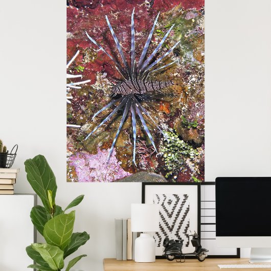 Young Lionfish Poster (Heimbüro)