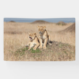 Young Lions Banner