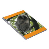 Young Long Owl Foto Notebook Notizblock (Rechte Seite)