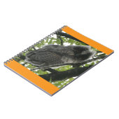 Young Long Owl Foto Notebook Notizblock (Linke Seite)