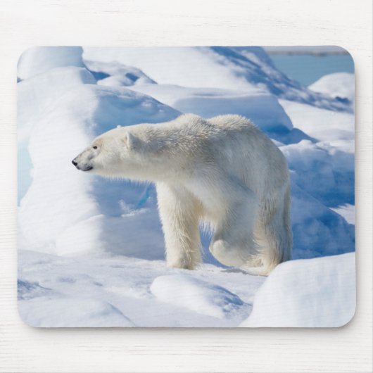 Young Male Polar Bear Mousepad (Vorne)