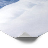 Young Male Polar Bear Poster (Ecke)