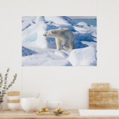 Young Male Polar Bear Poster (Küche)