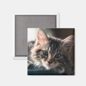 Young Male Tabby Cat 2 Magnet (Vorderseite/Rückseite)