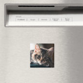 Young Male Tabby Cat 2 Magnet (In Situ (Geschirrspüler))