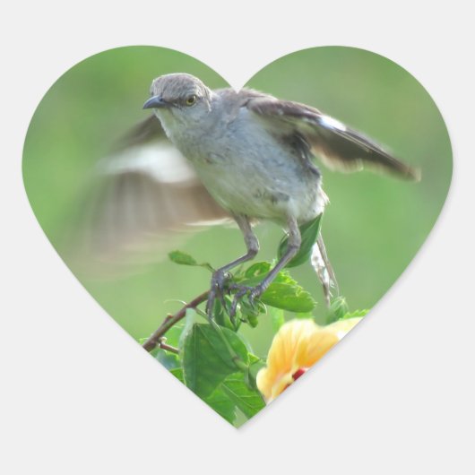 Young Mockingbird Stickers (Vorderseite)