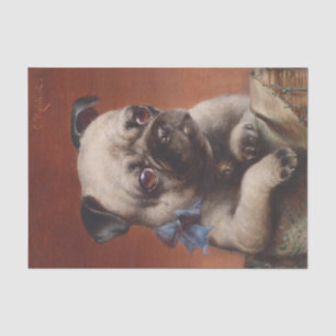 Young Mops von Carl Reichert Seidenpapier