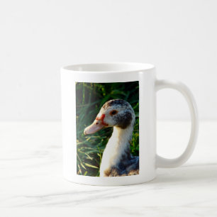 Young Muscovy Hen Duck Kaffeetasse