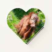 Young Orangutan Deep in Thread Notizblock (Rückseite)
