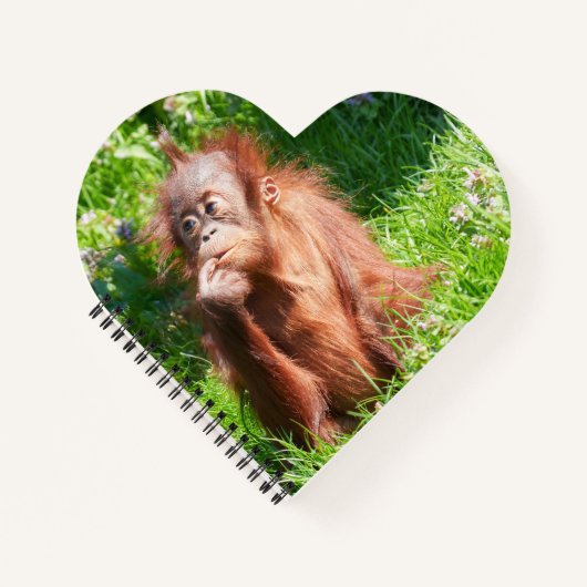 Young Orangutan Deep in Thread Notizblock (Vorderseite)