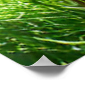 Young Orangutan Deep in Thread Poster (Ecke)