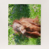Young Orangutan Deep in Thread Puzzle (Vertikal)