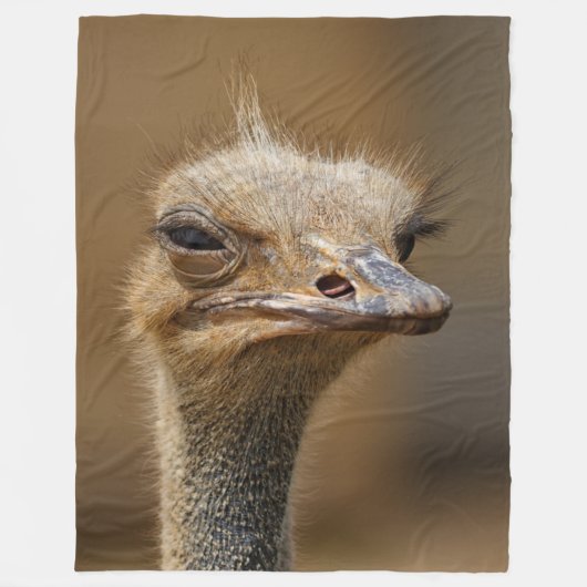 YOUNG OSTRICH FLEECEDECKE (Vorderseite)