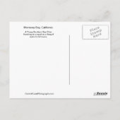 Young Otter Monterey Bay, California Postcard Postkarte (Rückseite)