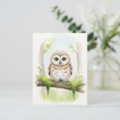 Young Owl Baby Wild Animals Postkarte (Stehend Vorderseite)