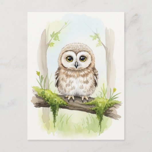 Young Owl Baby Wild Animals Postkarte (Vorderseite)