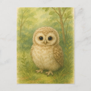 Young Owl Baby Wild Animals Postkarte