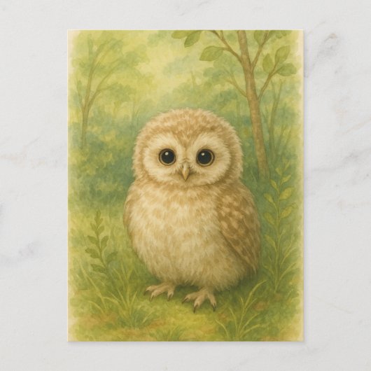 Young Owl Baby Wild Animals Postkarte (Vorderseite)