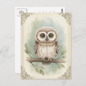 Young Owl Baby Wild Animals Postkarte (Vorne/Hinten)
