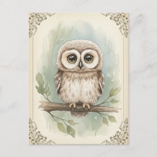 Young Owl Baby Wild Animals Postkarte (Vorderseite)
