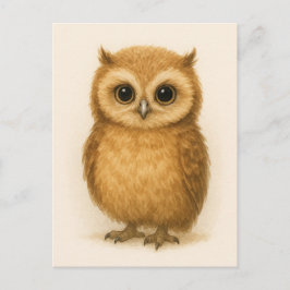 Young Owl Baby Wild Animals Postkarte