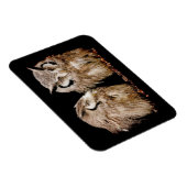 Young Owlets Magnet (Rechte Seite)